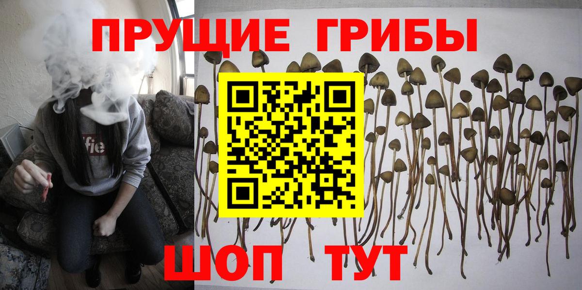Галлюциногенные грибы ЛСД  Вход с VPN  дарнет шоп  Вятские Поляны 