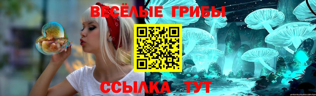 Галлюциногенные грибы Cubensis Вятские Поляны