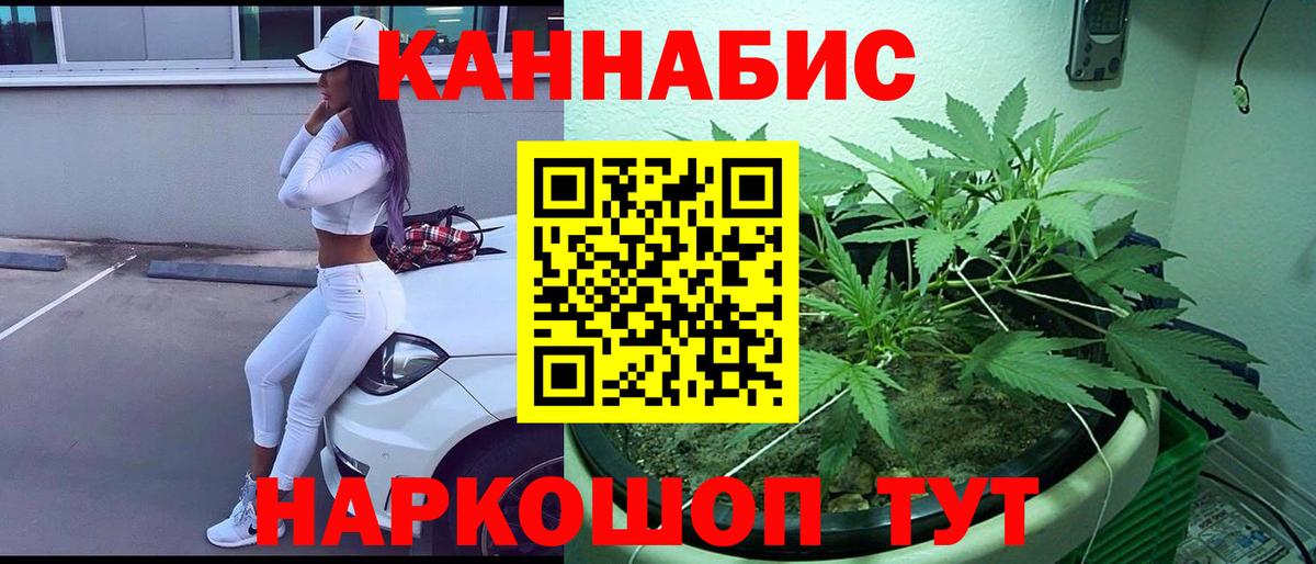 Вятские Поляны  Марихуана планчик  Вход с VPN  Каннабис SATIVA & INDICA  Марихуана гибрид  МАРИХУАНА Bruce Banner 